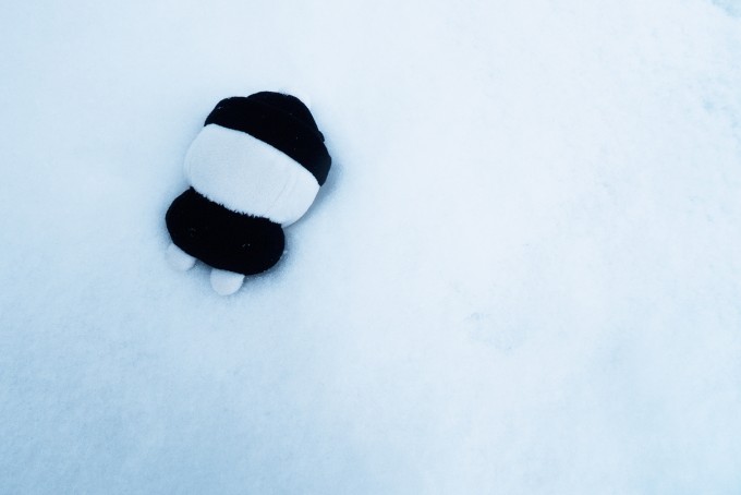しまむらくん雪原にダイブ
